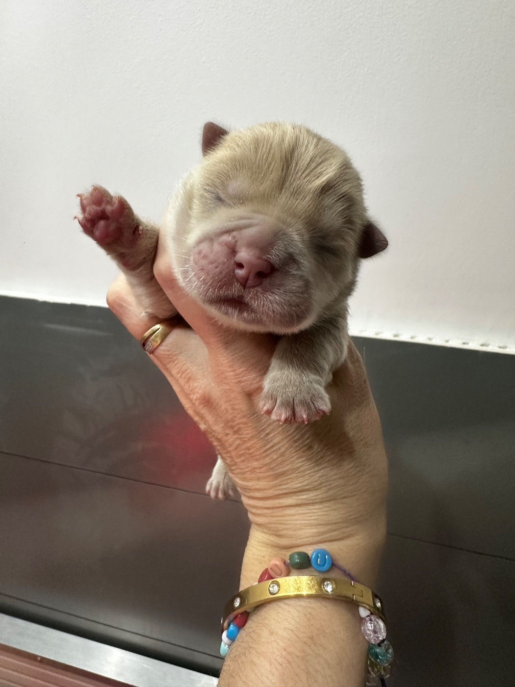 Nouvelle Naissance !!